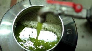 Olive Oil production process